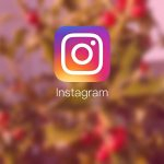 Instagram Marketing