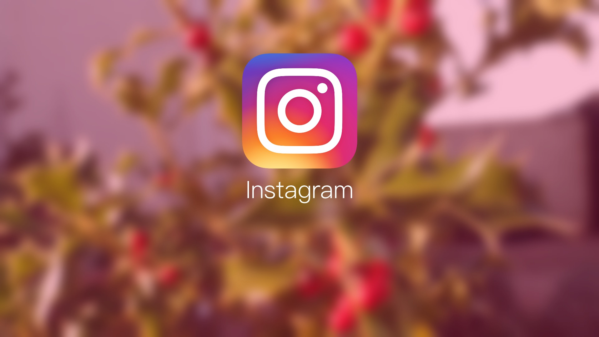 Instagram Marketing