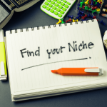 Micro Niche Sites