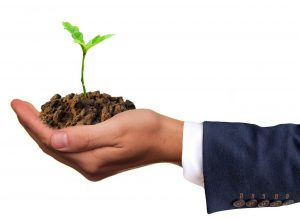 Keep Your Plants Healthy