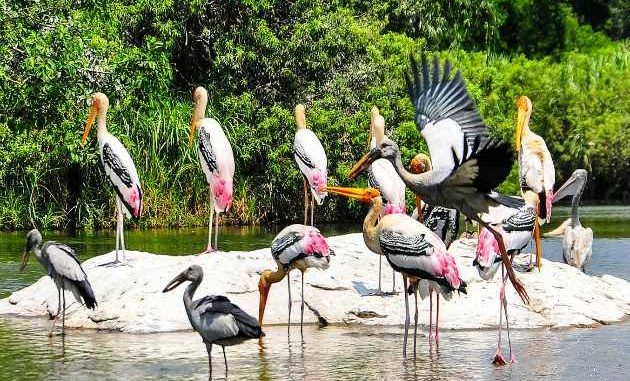 Water Bird Sanctuary