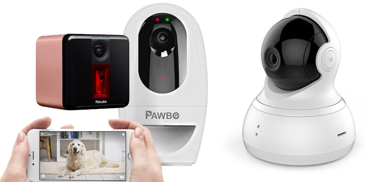 BEST PET CAMERAS