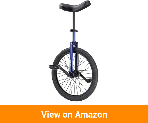 Tips For Choosing The Best Unicycles A Comparative Review