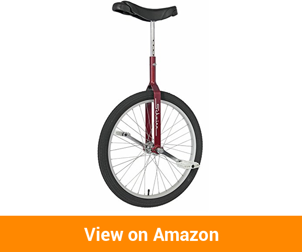 Tips For Choosing The Best Unicycles A Comparative Review