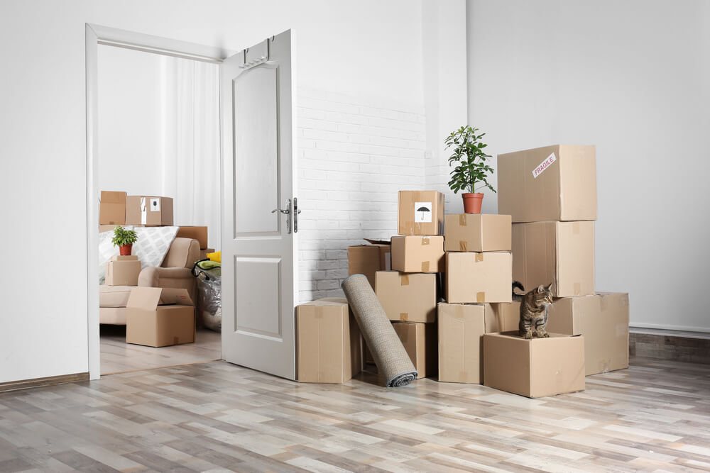 Prepare for a House Move