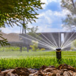 rainbird 5000