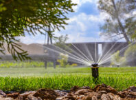 rainbird 5000