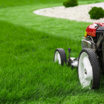 Benefits of Lawn Services