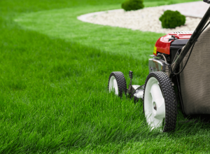 Benefits of Lawn Services