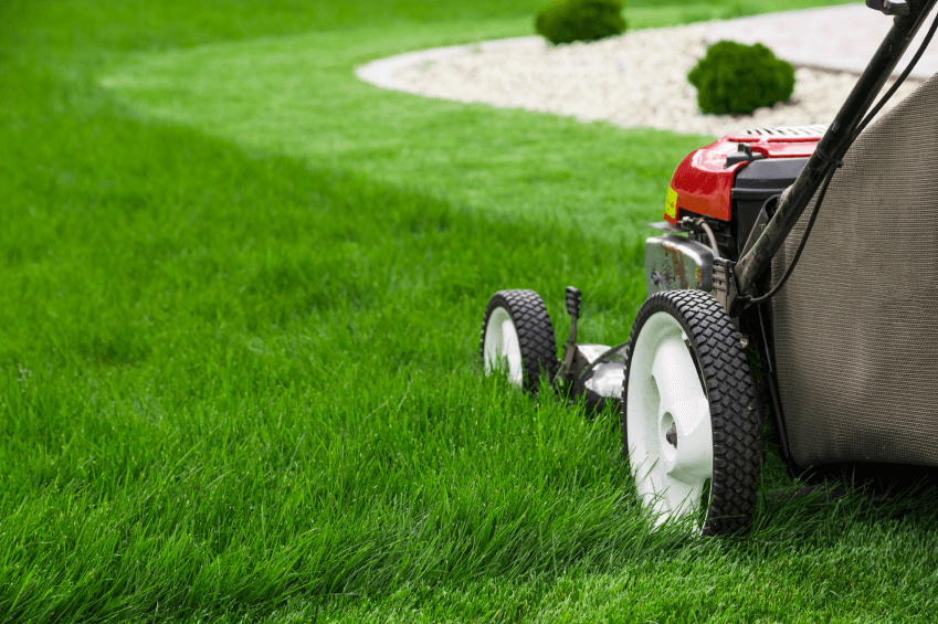 Benefits of Lawn Services