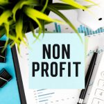 Non-Profit Employee
