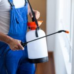 Pest Control