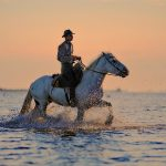 Layering Tips For Riders