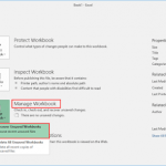 Excel Workbook