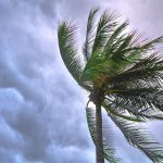 Hurricane Season