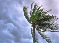 Hurricane Season
