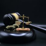 Drug Offenses