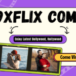 9xflix com
