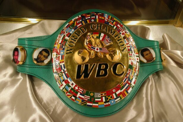 Ideal Championship Belt