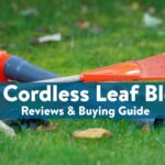 Best Cordless Leaf Blower