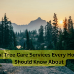 Tree Care Services