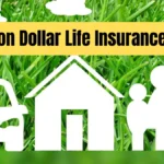 2 Million Dollar Life Insurance Policy
