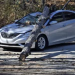 Car insurance